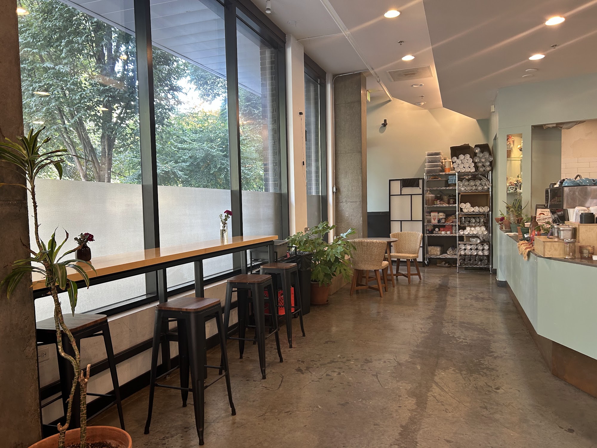 Cadejo Coffee interior with window counter seating and plants